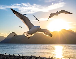 Group of seagulls in flight over water with sun setting behind mountains