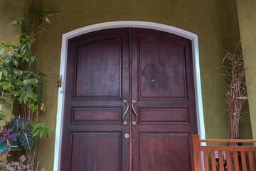 A classic-style wooden front door beneath a ceiling lamp, framed by olive-green walls and surrounded by plants.