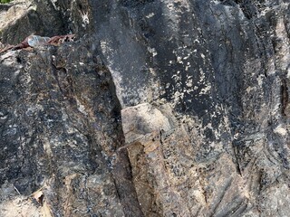 Uniqueness of limestone texture.