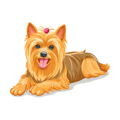 Happy Yorkshire Terrier dog lying down with a pink bow, isolated vector illustration