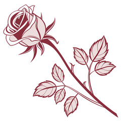 Minimalist Rose Bloom Duotone Vector
