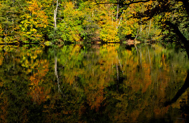 Nature taking on autumn colors