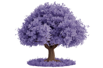 A vibrant purple-leafed tree stands with a robust brown trunk, surrounded by matching purple foliage. Isolated on a solid background, it's a striking natural element. background removed