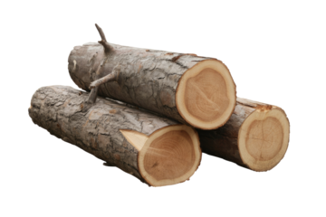 Stack of three raw wooden logs, showing bark and distinct end grains with tree rings, isolated on green. background removed