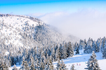 Fototapety na wymiar - Fototapeta24.pl