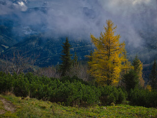 Beautiful Autumn day on a Hohe Veitsch mountain in Alps