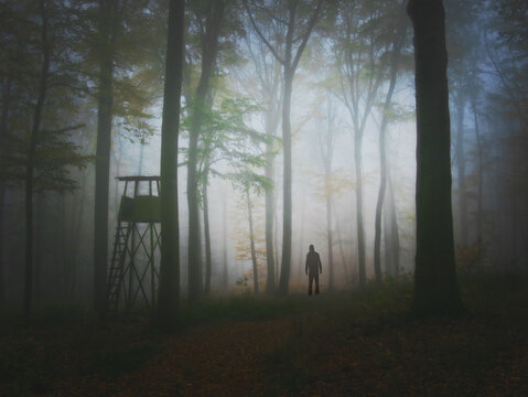 Creepy mysterious foggy forest during autumn day with a man observing nature and colorful foliage