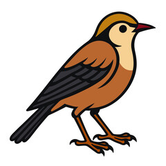Obraz premium Colorful cartoon bird standing with vibrant plumage, nature illustration
