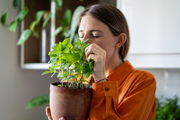 Positive woman gardener standing in kitchen surrounded by pots with plants, holding pot of home grown peppermint in hands. Calm female smelling fresh aroma of potted mint, touching green foliage. © DimaBerlin
