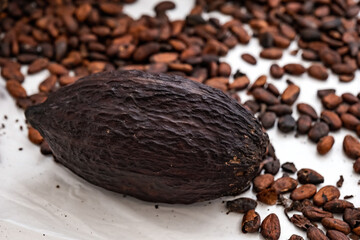 cocoa beans on white table