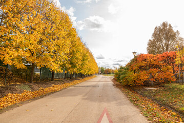 Obraz premium Road in a residential district