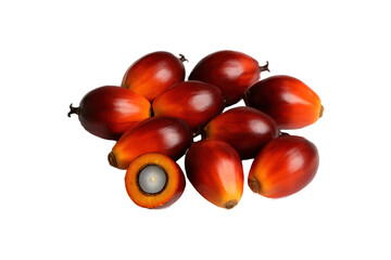 Close-up of fresh oil palm fruits with vibrant red and orange tones, isolated on a white background. The tropical palm kernels are used for producing palm oil, a key ingredient in food, cosmetics, and © MJ iceberg