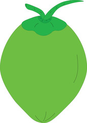 Natural tropical green coconut vector illustration