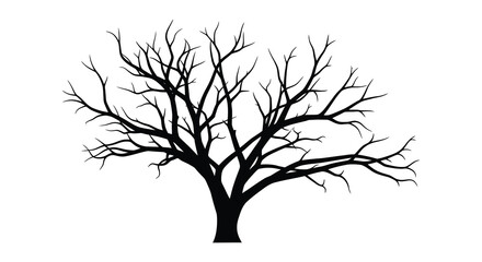 Silhouette of a bare deciduous tree with intricate branching patterns against a white background