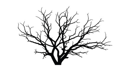 Silhouette of a bare deciduous tree with intricate branching patterns against a white background