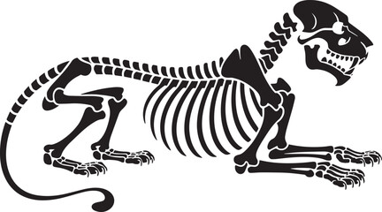 Big cat skeleton illustration resting pose detailed feline predator bone structure vector