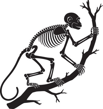 Black vector silhouette monkey skeleton climbing jungle tree branch detailed zoology illustration