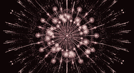 Obraz premium Abstract radial burst of light particles resembling a dandelion seed head or a stylized firework against a dark background.