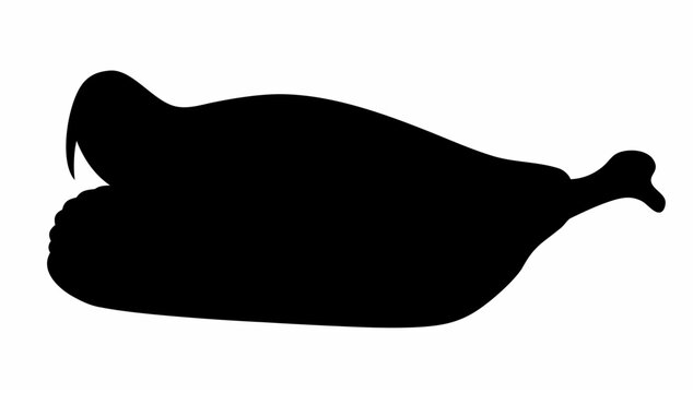 Silhouette of a cooked turkey with visible drumstick and stuffing presented against a white background