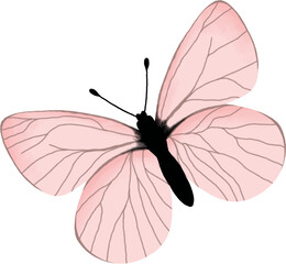 Pink soft and black butterfly illustration design