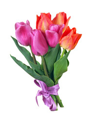 bright colorful bouquet of tulips isolated on transparent background