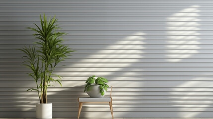 Minimalist Room with Plants and Shadows
