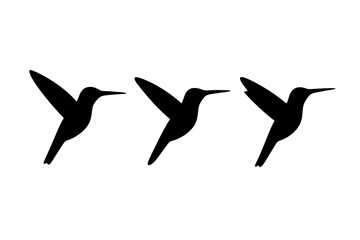 Hummingbirds in flight against a simple background showcasing their agility and grace in motion