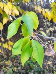 Beautiful nature photos