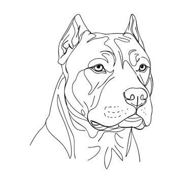 Vector line art portrait of American Pitbull Terrier, bold and clean outline emphasizing muscular build, short fur, and confident expression, ideal for tattoo or branding design