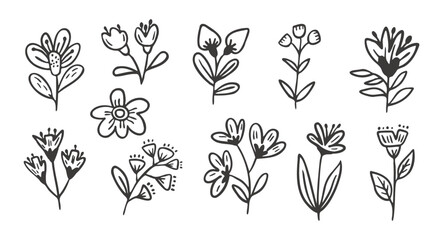 Collection of Hand-Drawn Line Art Flowers