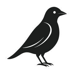 bird sitting on a branch on white background