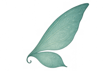 Teal fairy wing illustration with delicate magical patterns and shimmering details, fantasy creature concept on transparent background