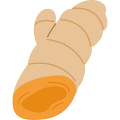 Bright Golden Turmeric Root and Powder Isolated on White Background Culinary Spice Ingredient Healthy Food Element