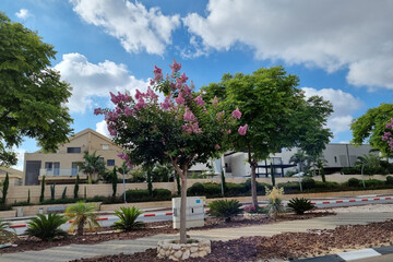 Israel. Street interior in Rishon LeZion. Streets of Israel.