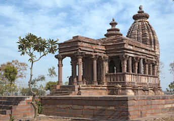 Fototapeta premium hindu temple in india