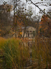 jesień, park pałacowy, arkadia, liście, budynki zabytkowe.  rośliny, polska, 