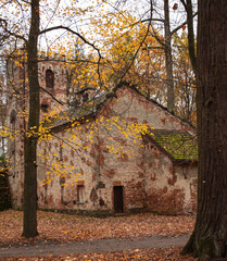 jesień, park pałacowy, arkadia, liście, budynki zabytkowe.  rośliny, polska, 