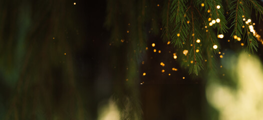 Spruce branches with golden bokeh, dark Christmas background copy space. High quality photo