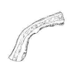 Vector Bacon Strip. Graphic ink pork slice of delicious meat illustration, isolated on background. Hand drawn line sketch. For designers, prints, logo, icon, menu, postcards, holiday, covers