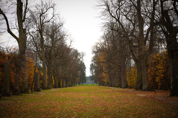 jesień, park pałacowy, arkadia, liście, budynki zabytkowe.  rośliny, polska, 