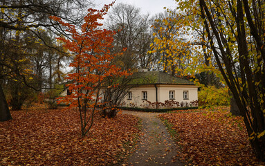 jesień, park pałacowy, arkadia, liście, budynki zabytkowe.  rośliny, polska, 