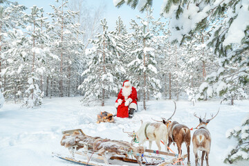 Authentic Santa Claus with a reindeer and a bag of gifts sits by a fire in a snowy forest.