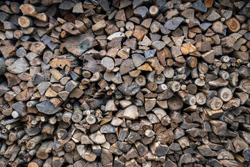 Bundles of chopped firewood neatly stacked under a shelter