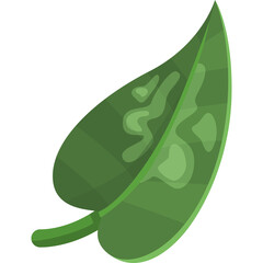 Green Leaf With Transparent Background With Light Green Pattern On It