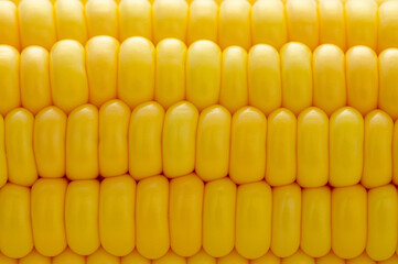 corn on the cob