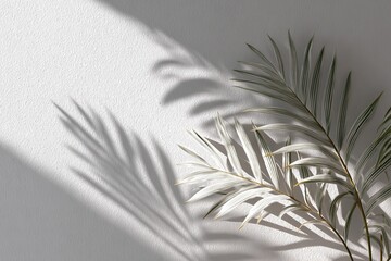 Plant fronds cast dramatic shadows across a textured white surface under bright light