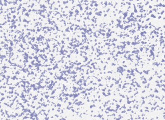 和紙とまだら模様　紫色
