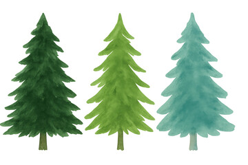 Obraz premium Three watercolor christmas trees in varying shades of green, ideal for holiday designs with a transparent background