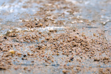 Сloseup of sand grit and salt mixture scattered on icy paving slabs during winter road treatment for improving traction and preventing slips on frozen urban surfaces