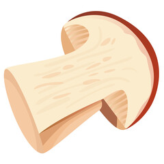 Simple Cartoon Slice of a Porcini Mushroom with Brown Cap and Creamy White Stem Detailed with Light and Shadow Accents on a Transparent Background